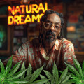 Natural Dreams