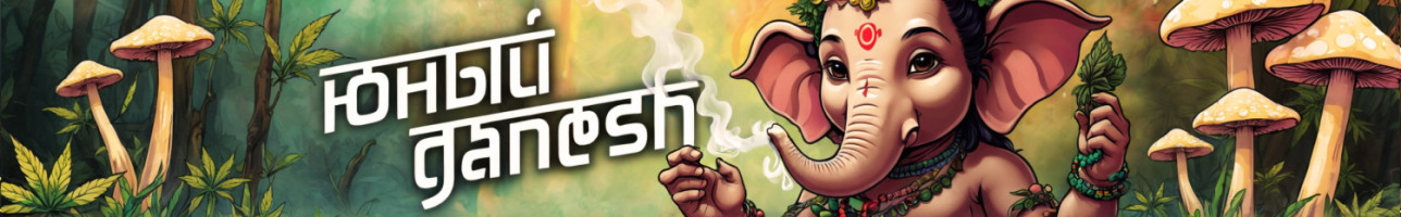 Юнный Ganesh