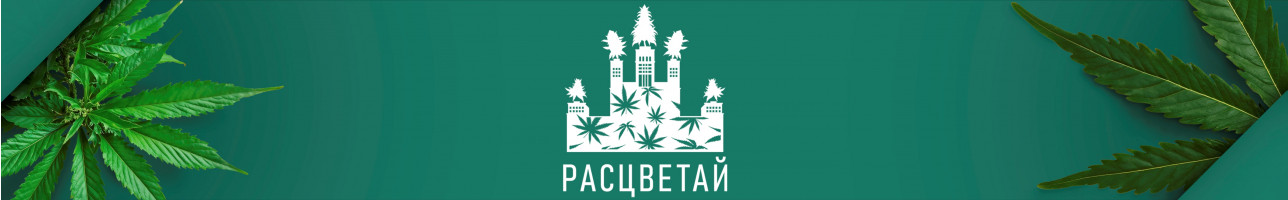 Расцветай